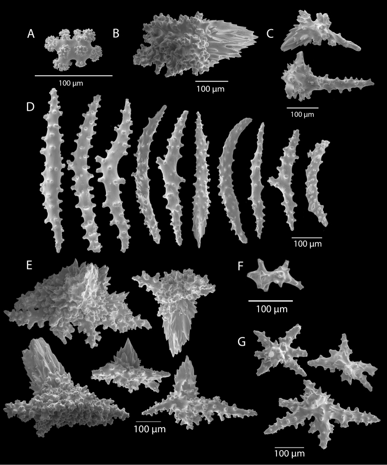 Figure 52.