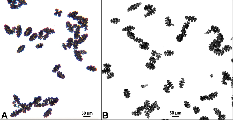 Figure 12.