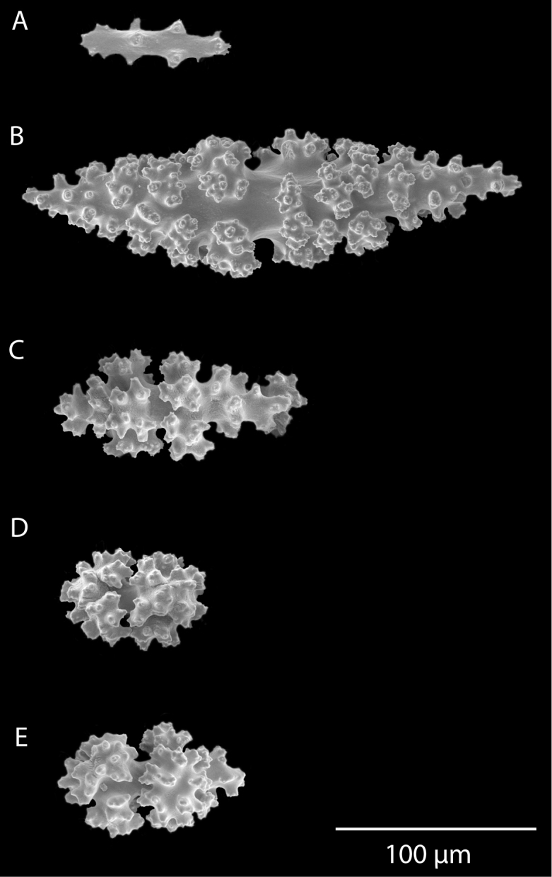 Figure 38.