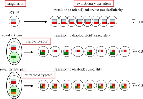 Figure 2.