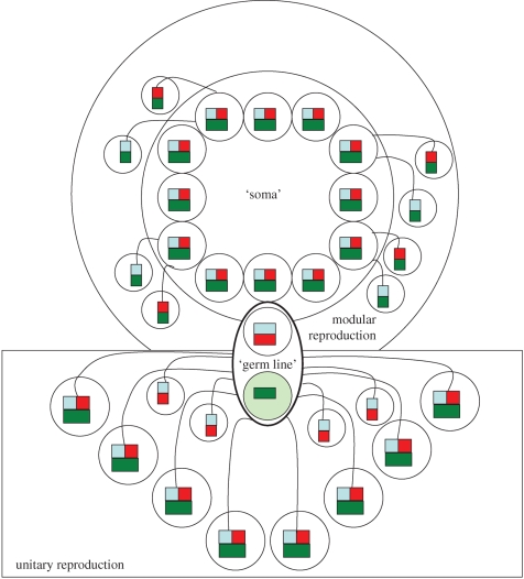 Figure 3.