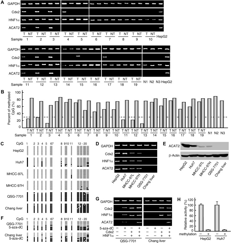 Figure 5