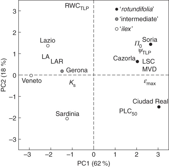 Fig. 8.