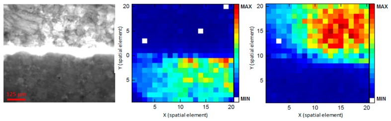 Figure 10.