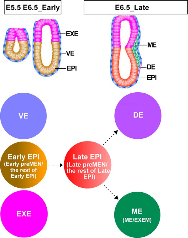 Figure 7.