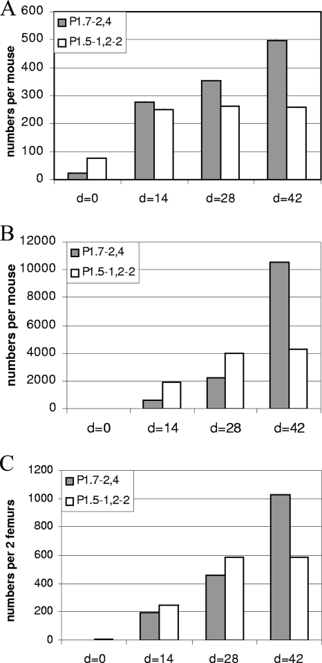 FIG. 2.