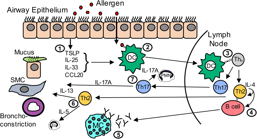 Figure 1: