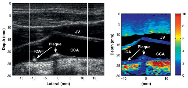 Fig. 6