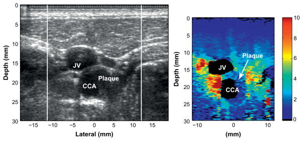 Fig. 3