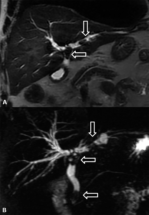 Figure 16.