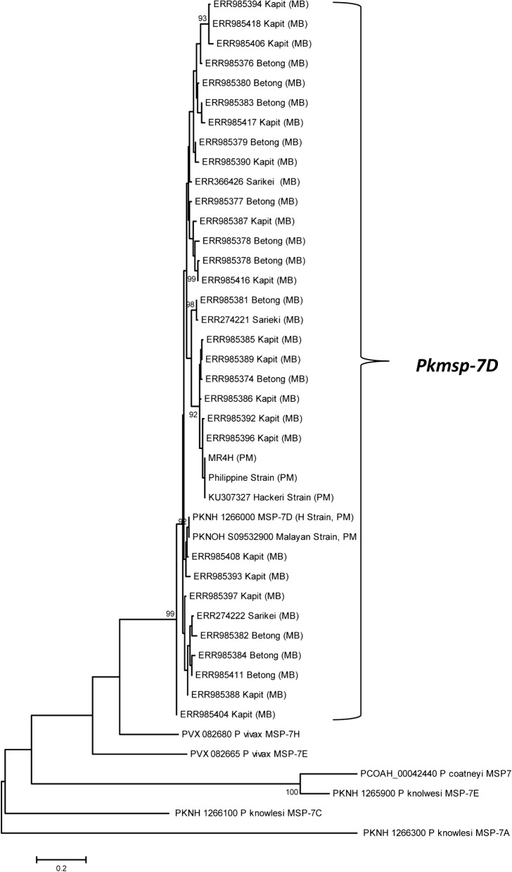 Fig. 5