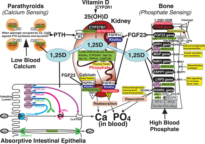 Fig 3