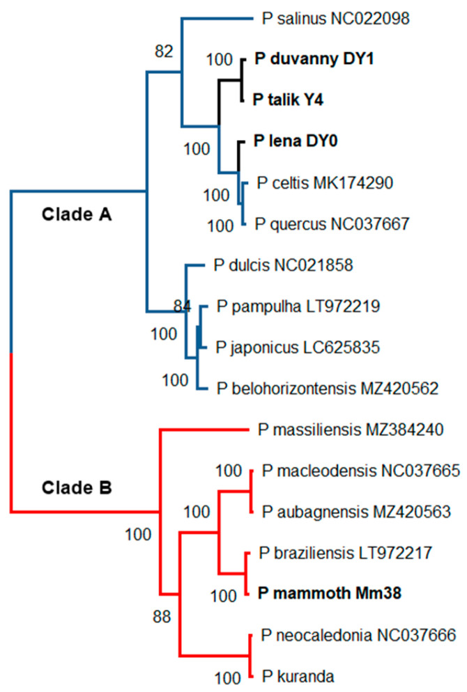 Figure 2