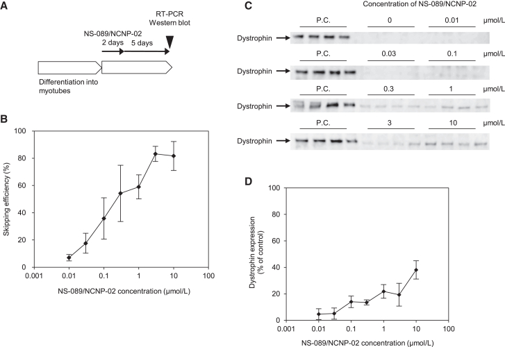 Figure 3