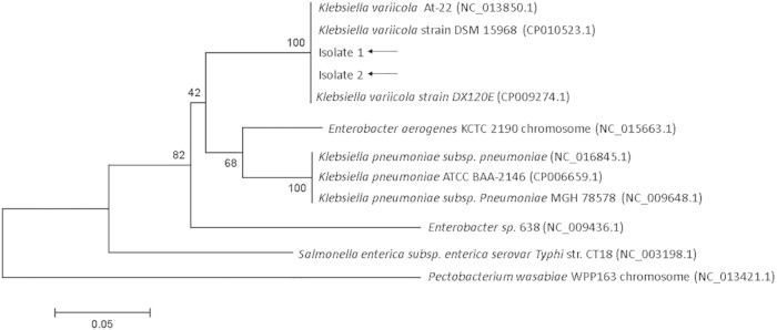 FIG 1