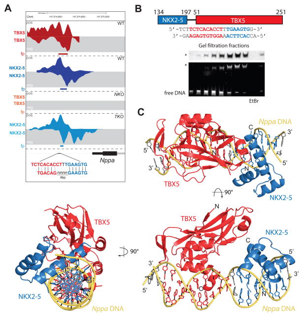 Figure 6