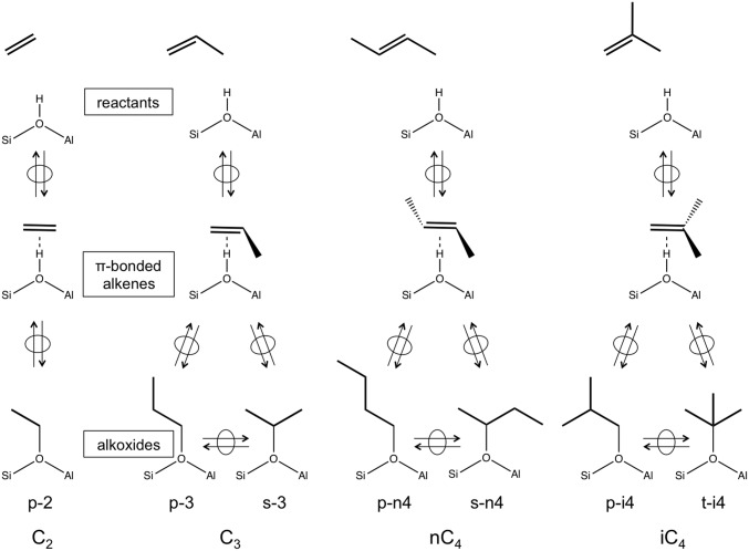 Scheme 1.