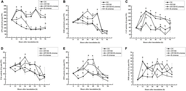 FIGURE 3