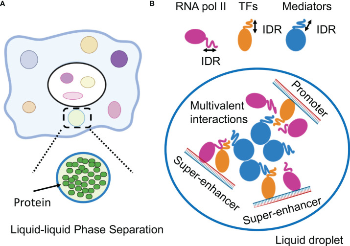 Figure 2