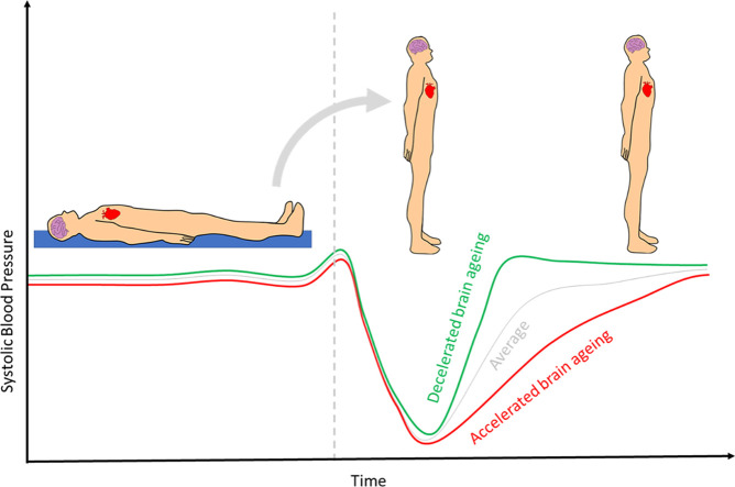 Image, graphical abstract