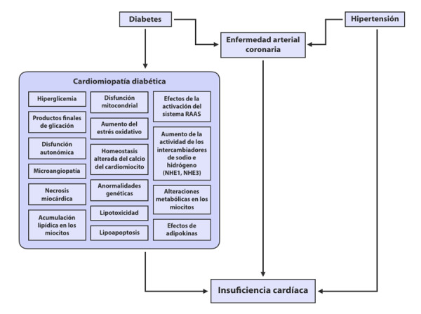 Figura 1