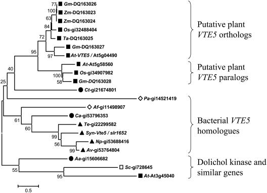 Figure 5.