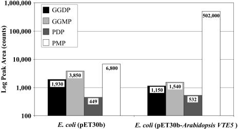 Figure 6.