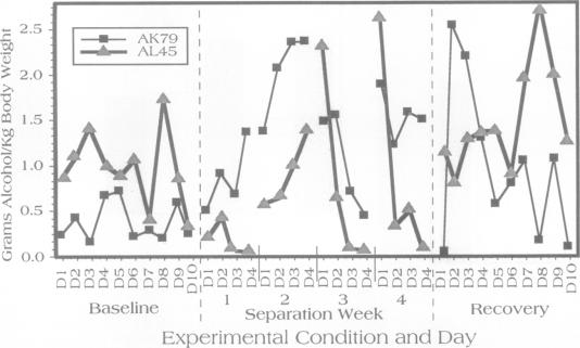 graphic file with name pnas01066-0374-a.jpg