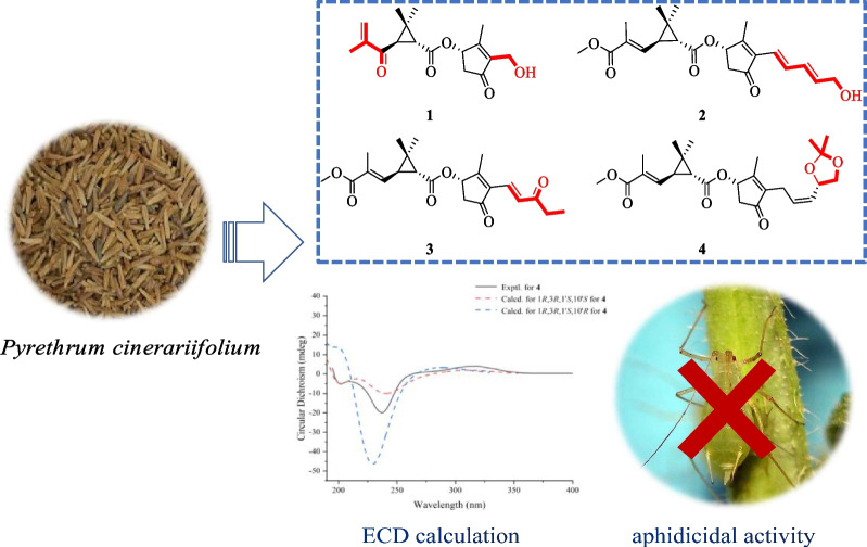 graphic file with name 13659_2023_385_Figa_HTML.jpg