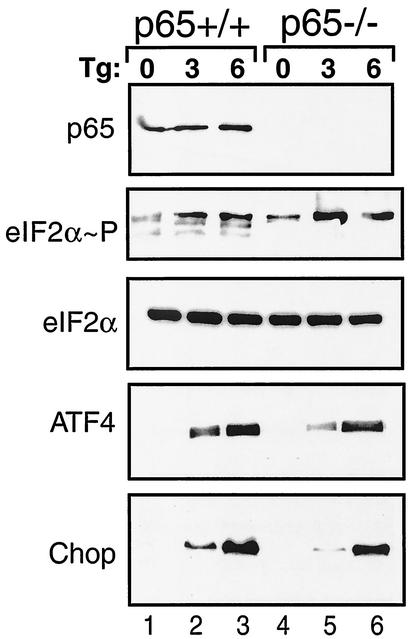 FIG. 9.