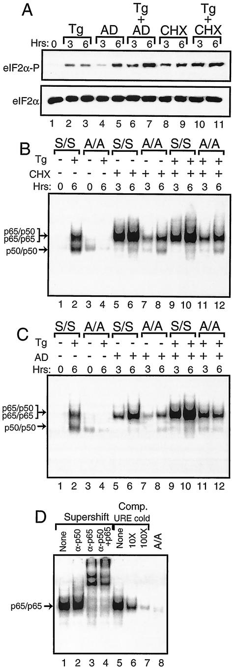 FIG. 8.