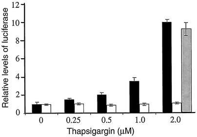 FIG. 5.