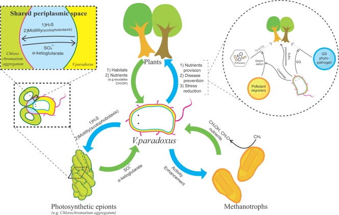 FIG. 3.