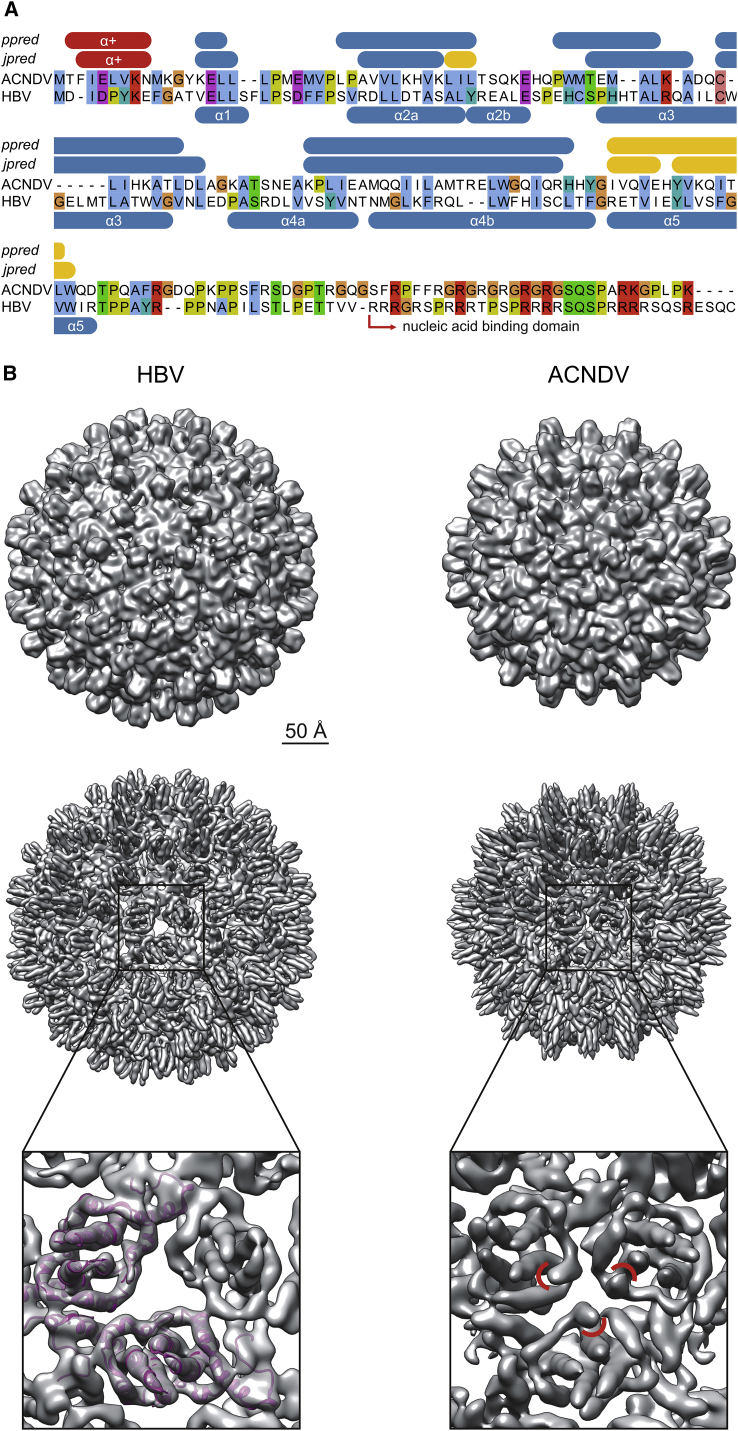 Figure 3