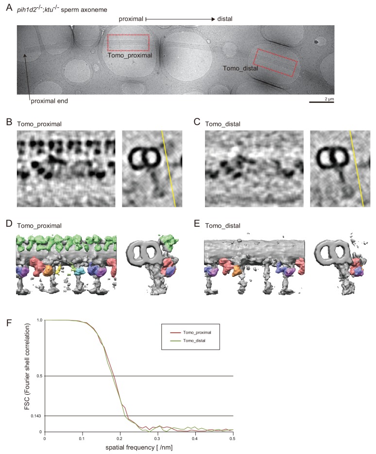 Figure 4—figure supplement 1.