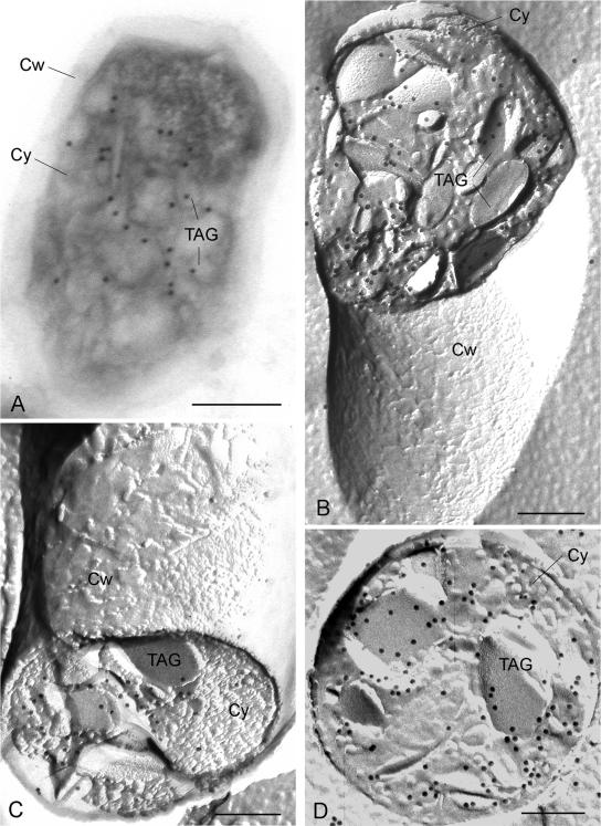 FIG. 5.