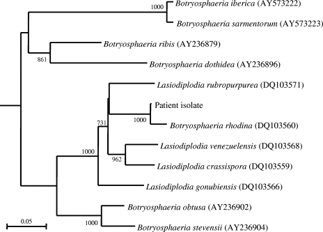 FIG. 3.