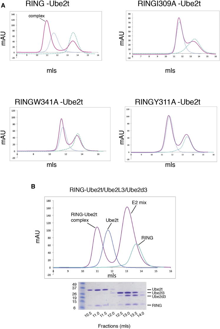 Figure 3