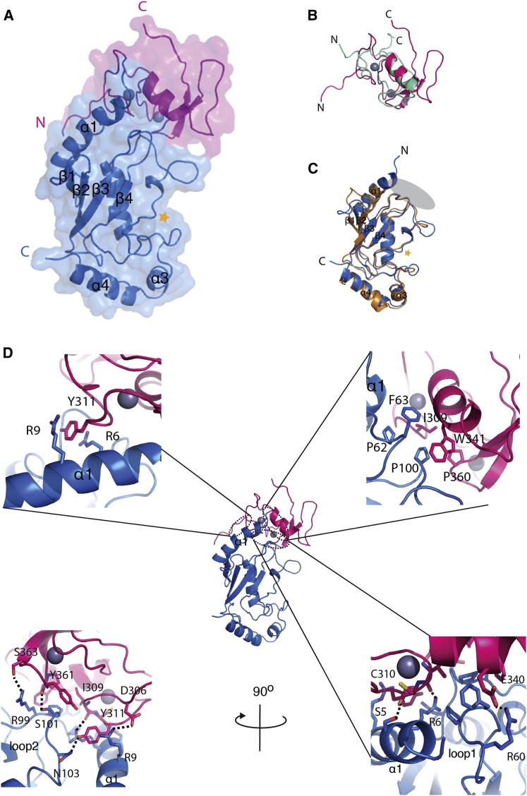 Figure 1