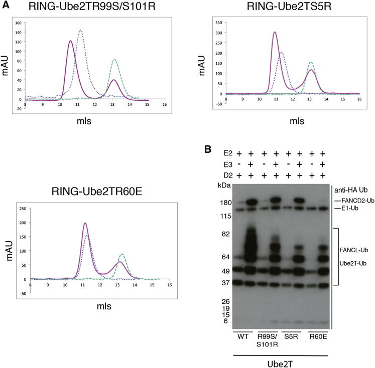 Figure 4