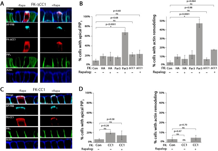 FIGURE 3: