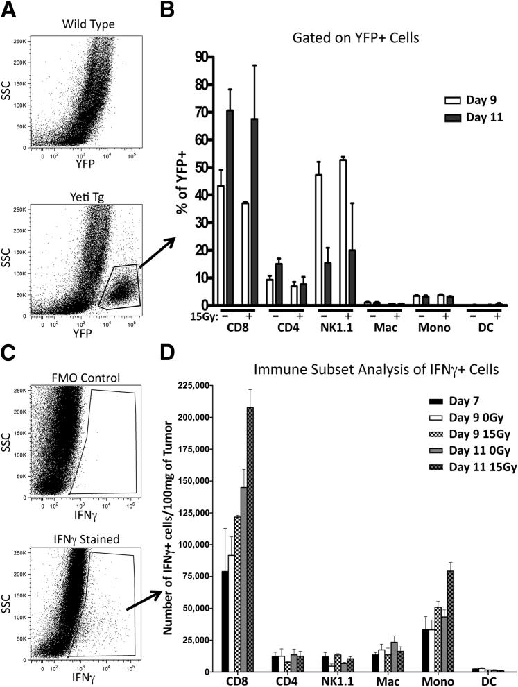 Figure 5