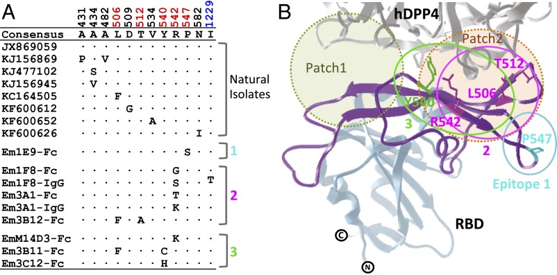 Fig. 4.