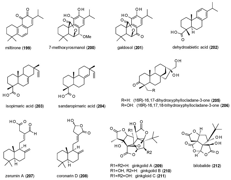 Figure 13