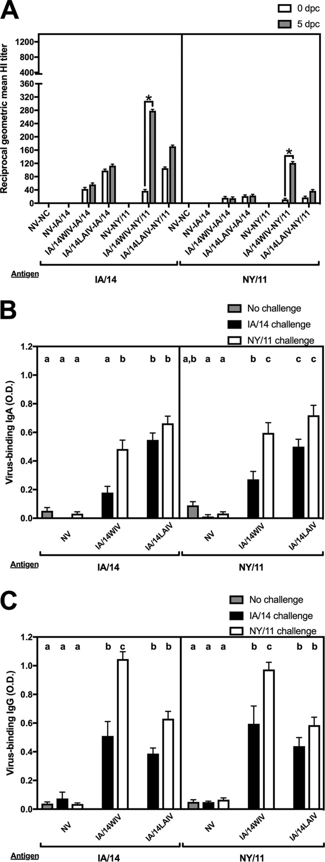 FIG 4