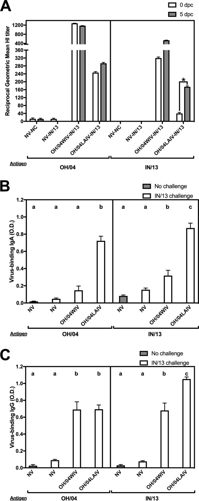 FIG 3