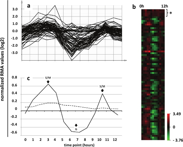 FIGURE 3.