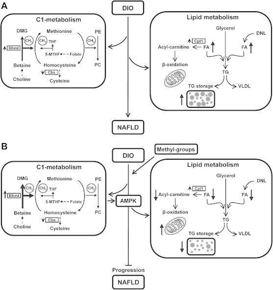 Figure 9