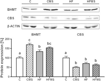 Figure 4