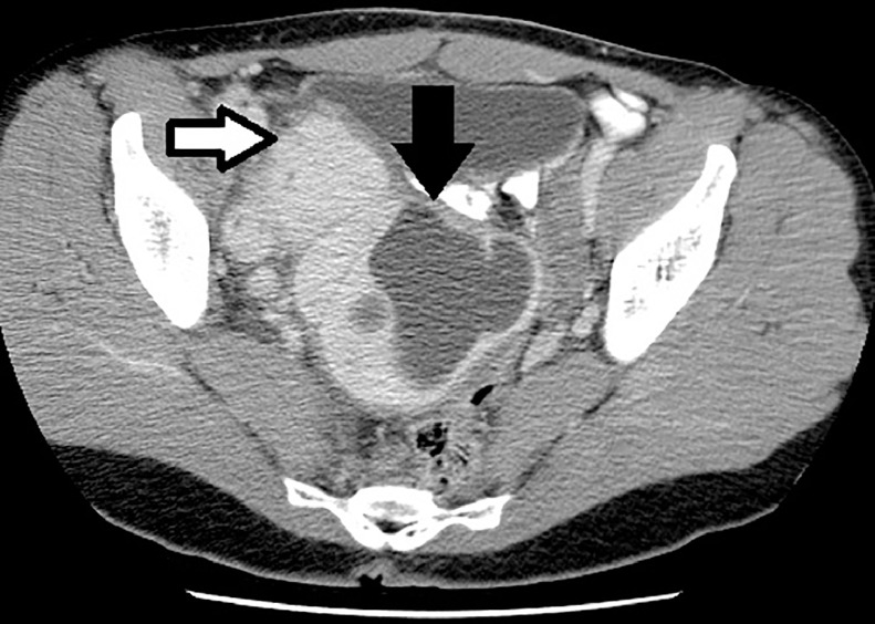 Fig. 4